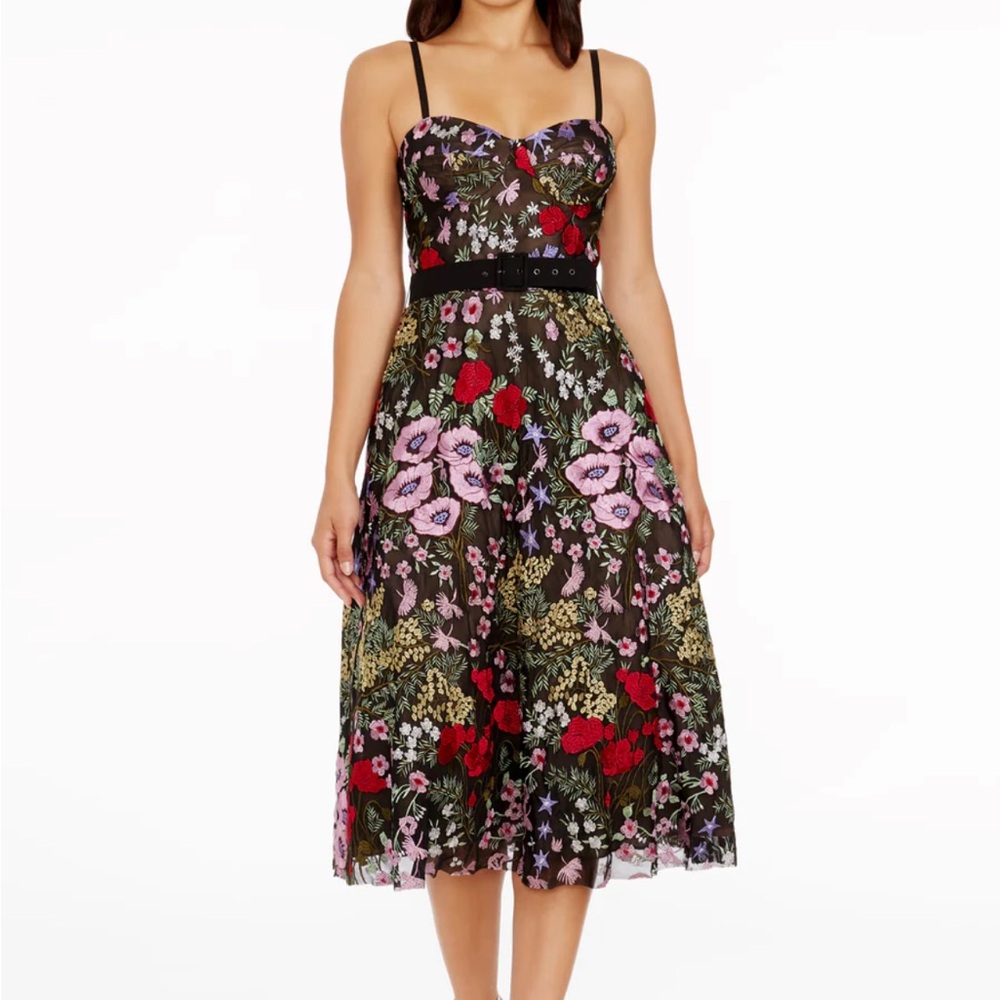 Dress the Population Multicolor Embroidered Midi Dress